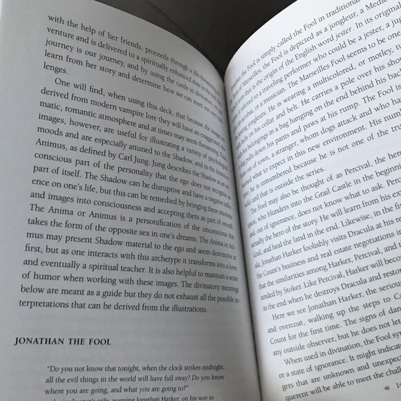 The Vampire Tarot RARE 1st Edition 2009 Robert M Place - Picture 13 of 14